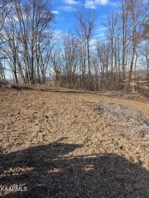 1327 Bays Mountain Rd, Knoxville, TN 37920