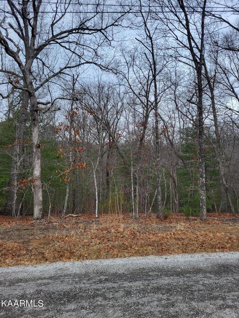 103 Rosemont Dr, Crossville, TN 38558