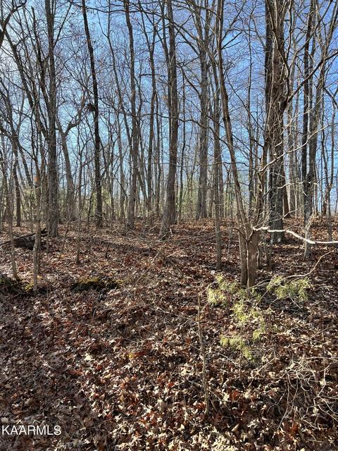 104 Hunterwood Ln, Crossville, TN 38558