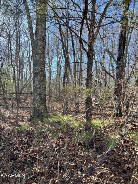 106 Hunterwood Ln, Crossville, TN 38558