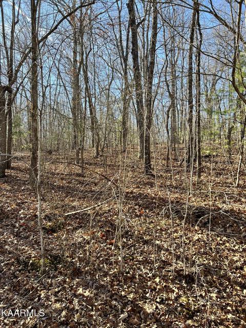 114 Hunterwood Ln, Crossville, TN 38558