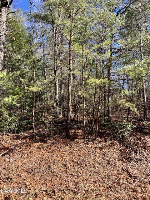 117 Natchez Cir, Crossville, TN 38558