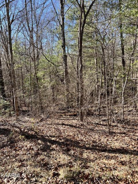 118 Natchez Cir, Crossville, TN 38558