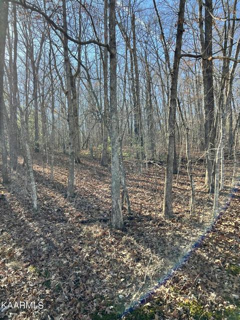 122 Hunterwood Ln, Crossville, TN 38558