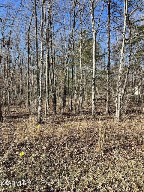 128 Malvern Rd, Crossville, TN 38558