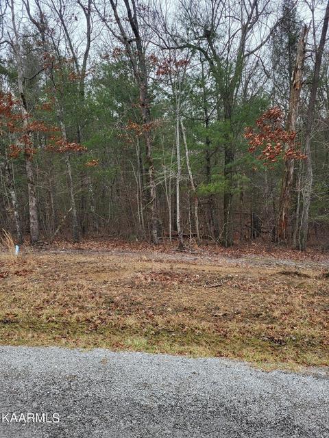 13 Dovecote Ter, Crossville, TN 38558