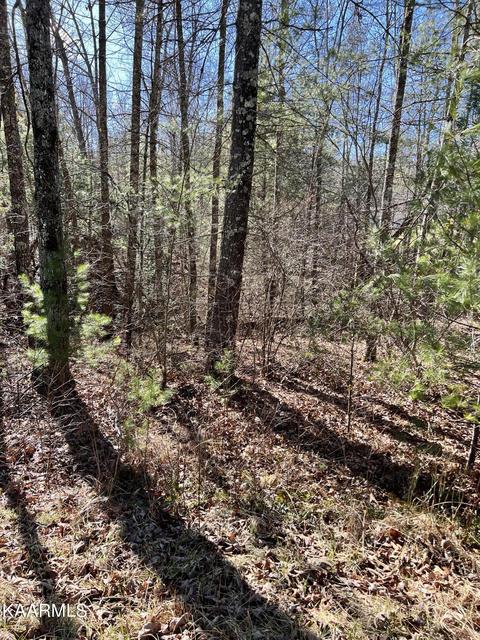 136 Natchez Cir, Crossville, TN 38558