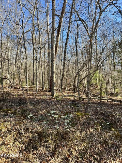 14 Homberg Ln, Crossville, TN 38558