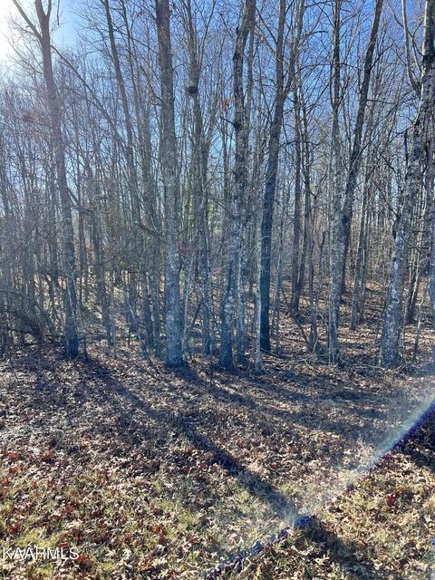151 Cappshire Rd, Crossville, TN 38558