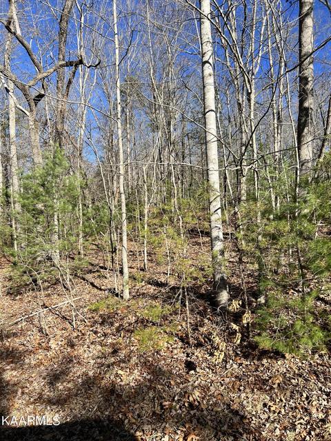 154 Rotherham Dr, Crossville, TN 38558