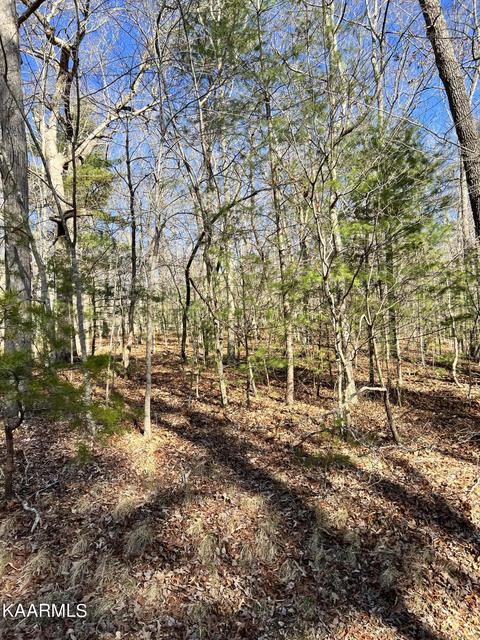 156 Rotherham Dr, Crossville, TN 38558