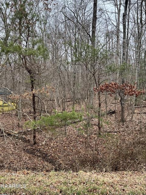 178 Meadowview Dr, Crossville, TN 38558