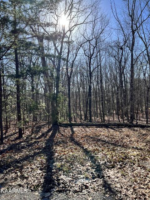 19 Bingham Way, Crossville, TN 38558