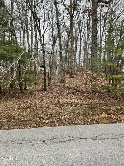 233 St George Dr, Crossville, TN 38558