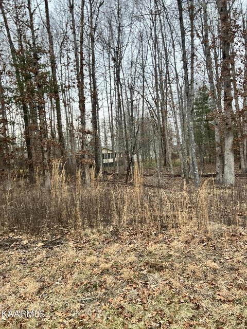 257 St George Dr, Crossville, TN 38558