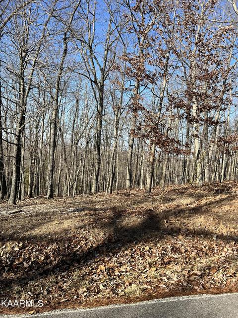 317 Rotherham Dr, Crossville, TN 38558