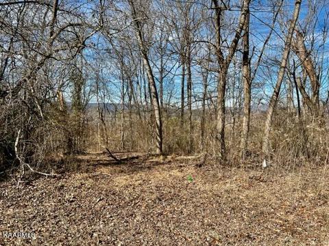 Skyline View Lane, Kingston, TN 37763