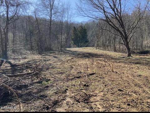 290 Hickory Springs Rd, Washburn, TN 37888