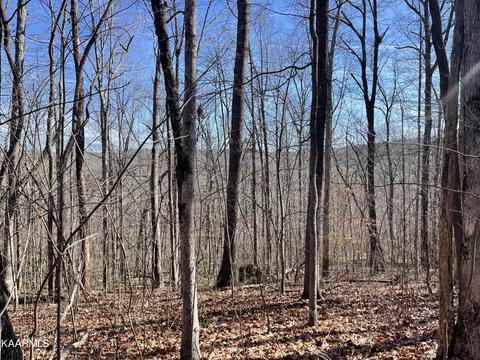Lot 9 Belmont Circle, Monterey, TN 38574