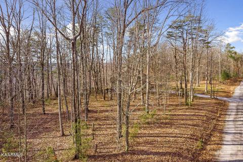 14 Eagles Bluff Circle, Spencer, TN 38585