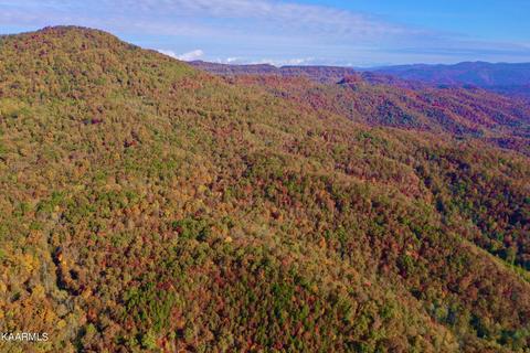 7146 New River Hwy, Briceville, TN 37710