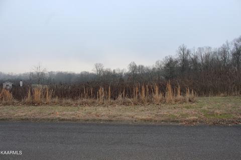 Foxglen Lane Lane, Andersonville, TN 37705