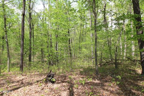 866 Sawmill Rd, Monterey, TN 38574