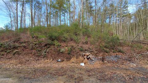 Lot 3 Coy Rhea Way, Sevierville, TN 37876