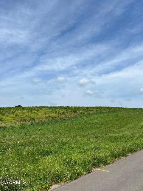Lot 12 Meadow View Rd, Rogersville, TN 37857