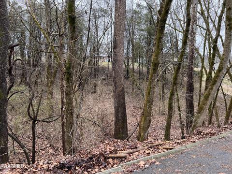 lot83 Delight Ln, Sevierville, TN 37876
