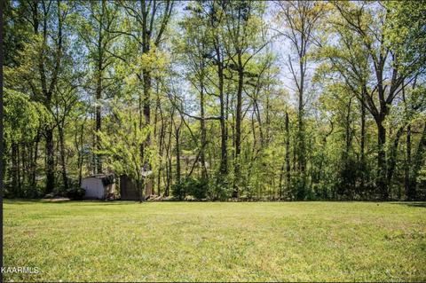 Badger Drive, Andersonville, TN 37705