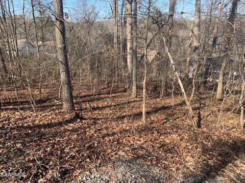 138 Tuhdegwa Way, Loudon, TN 37774