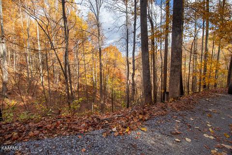 Lot 14 Grey Fox Run, Sevierville, TN 37862