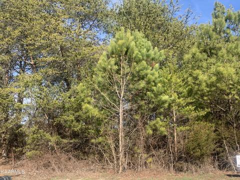 Raintree Lane, Kingston, TN 37763