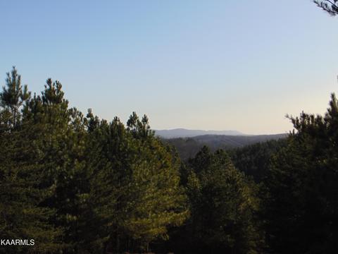 15 1 Charles Rd # B, Decatur, TN 37322