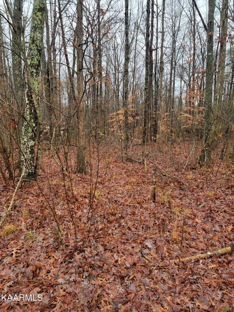 Trimmer Lane, Jamestown, TN 38556