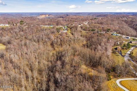 17 46ac Pea Ridge Rd, Chestnut Mound, TN 38552