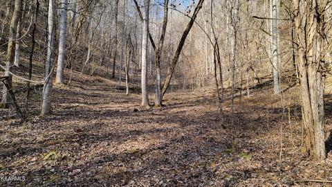 229 Sharps Holw, Tazewell, TN 37879