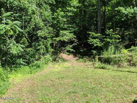 Laurel Lake Circle, Madisonville, TN 37354