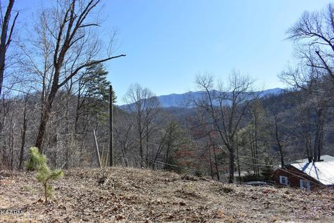 Undisclosed, Gatlinburg, TN 37738