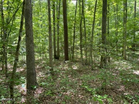 Flat Top View Lane, Wilder, TN 38589