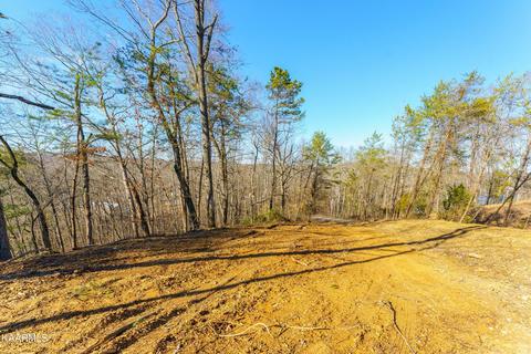 Nancy Point, Spring City, TN 37381