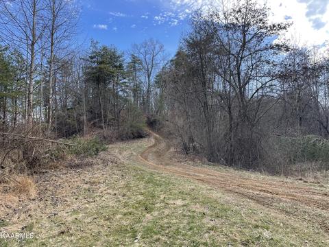 Stephen Lane, Pioneer, TN 37847
