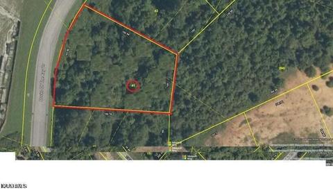 41 Meadow Lane, Rockwood, TN 37854