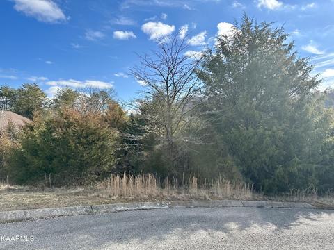 117 Wildwood Way, Tazewell, TN 37879