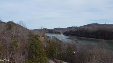 Bluff View Road, New Tazewell, TN 37825