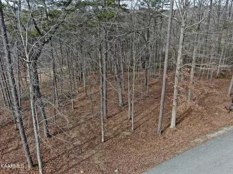 lot S 8 9 Eagle Blf, Jamestown, TN 38556