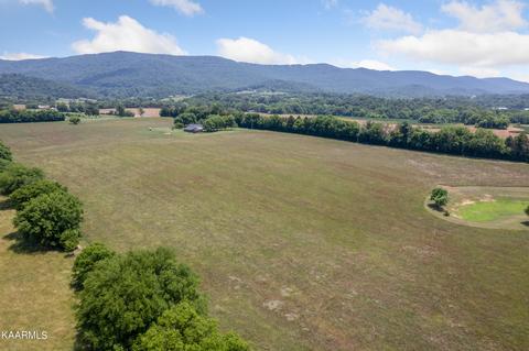 Worthington Cemetery Rd, Pikeville, TN 37367