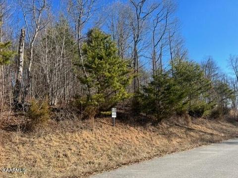 Flagstone Loop, New Tazewell, TN 37825