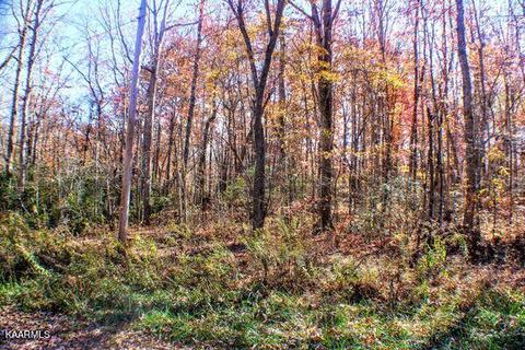 429 Cleggan Drive, Crossville, TN 38572
